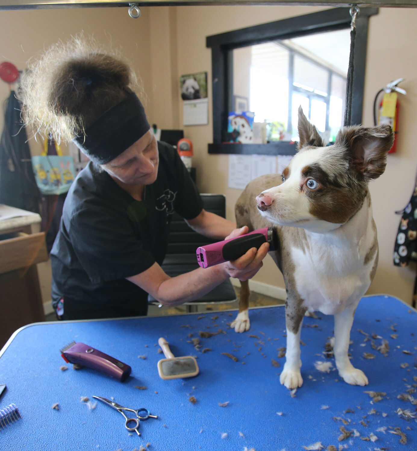 TTgrooming.jpg
